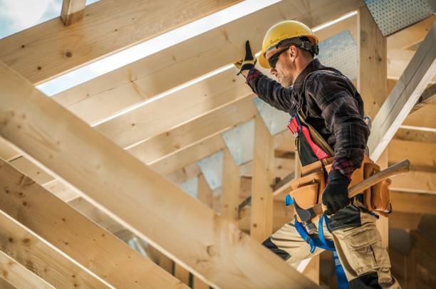Best New Roof Installation  in Carrollton, AL