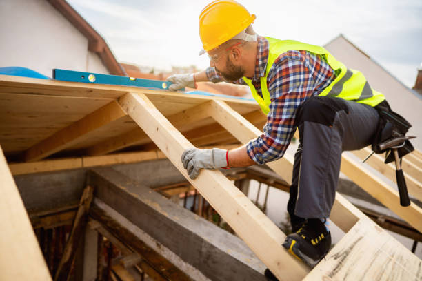 Best Metal Roofing Contractor  in Carrollton, AL