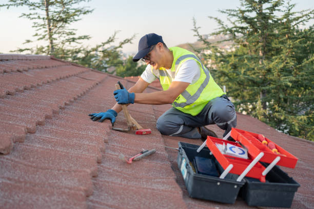 Best Storm Damage Roof Repair  in Carrollton, AL