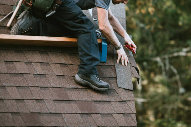 Quick and Trustworthy Emergency Roof Repair Services in Carrollton, AL